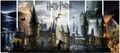 Harry Potter – Lenticular PLEX Hogwarts Piece – AP Edition (19/20)