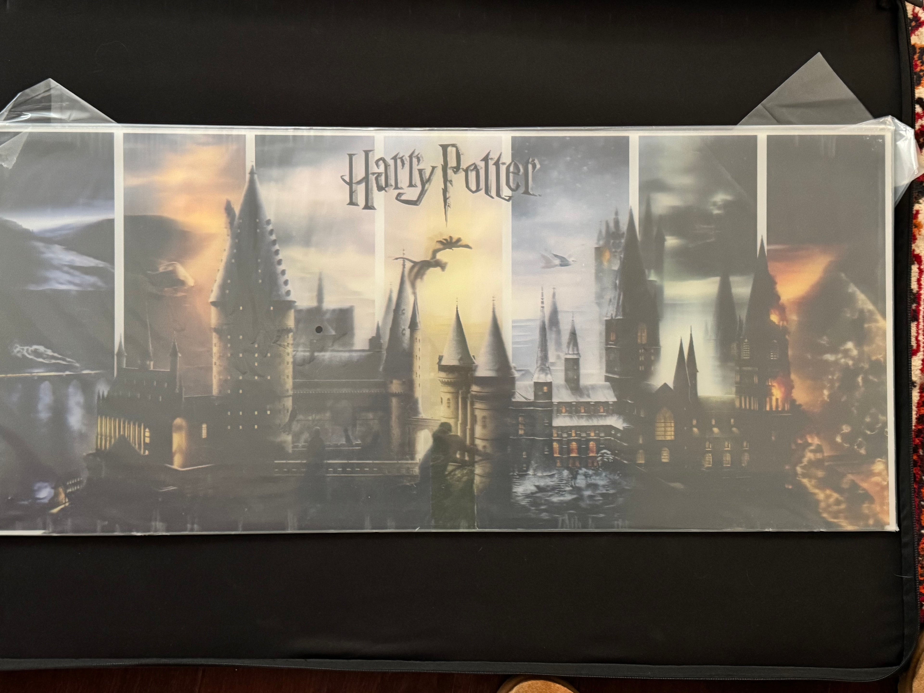 Harry Potter – Lenticular PLEX Hogwarts Piece – AP Edition (19/20)