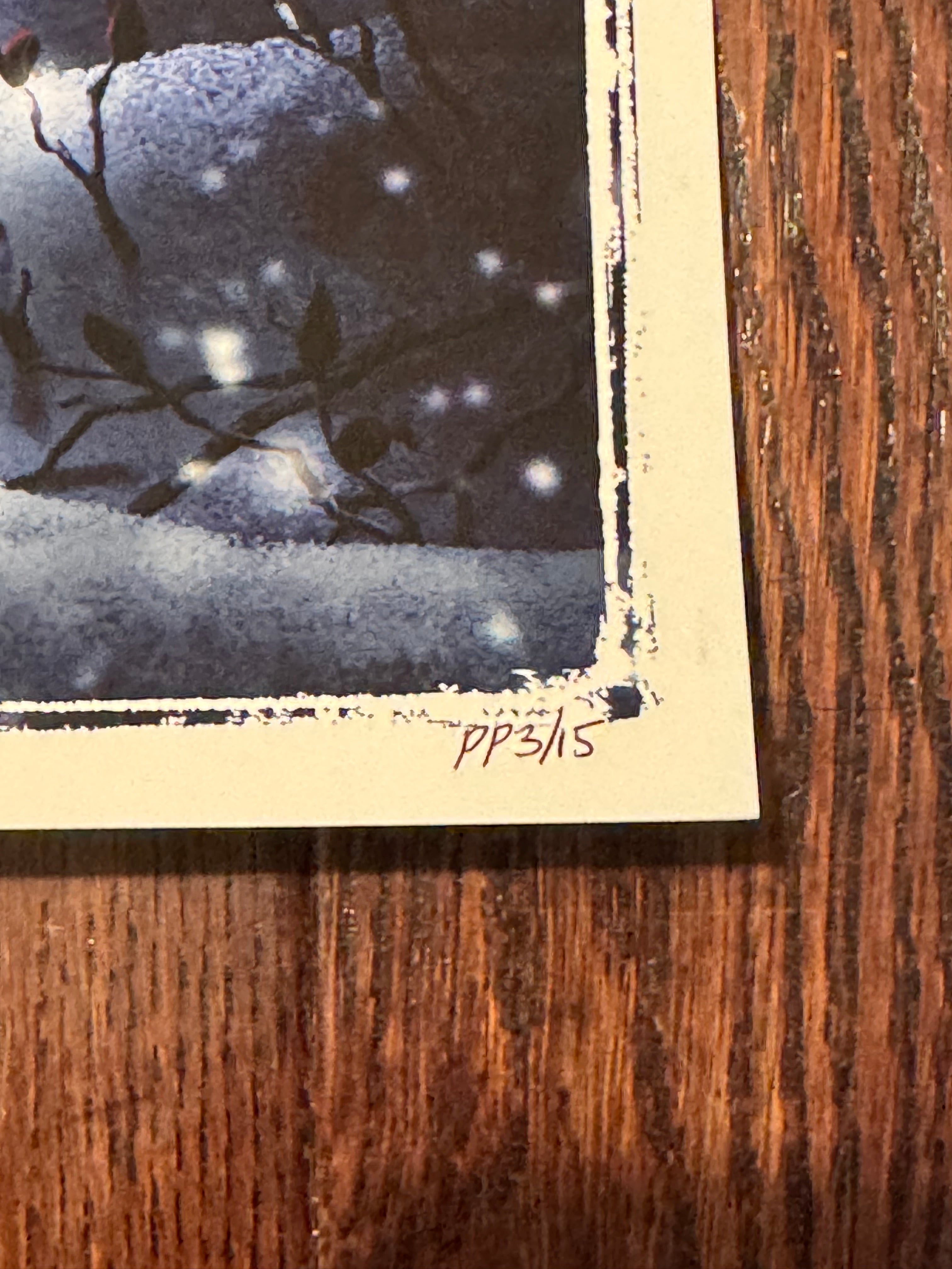 Bambi – Night by Ben Harman – Printer's Proof (PP) (3/15)