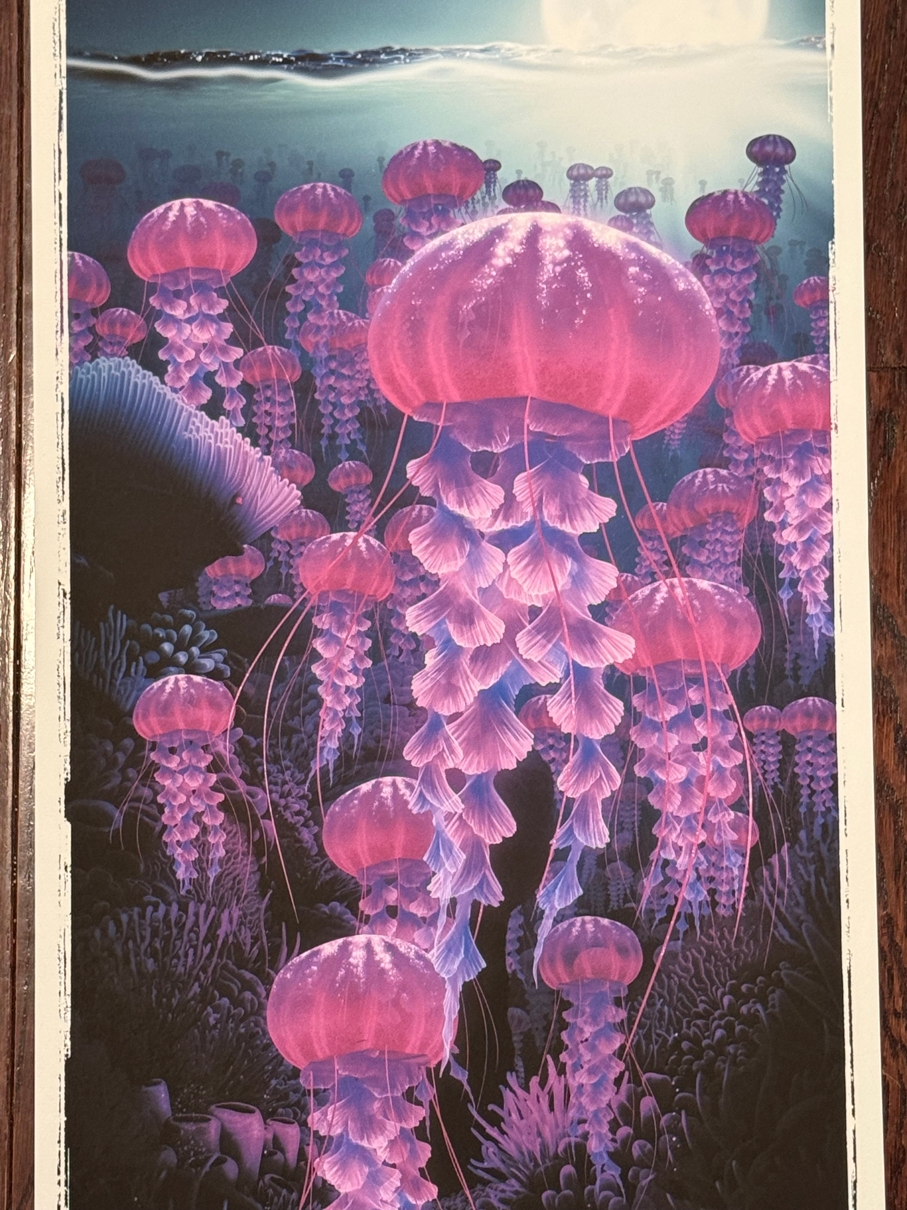 Finding Nemo – Night by Ben Harman – Limited Edition Fine Art Print (30/125)