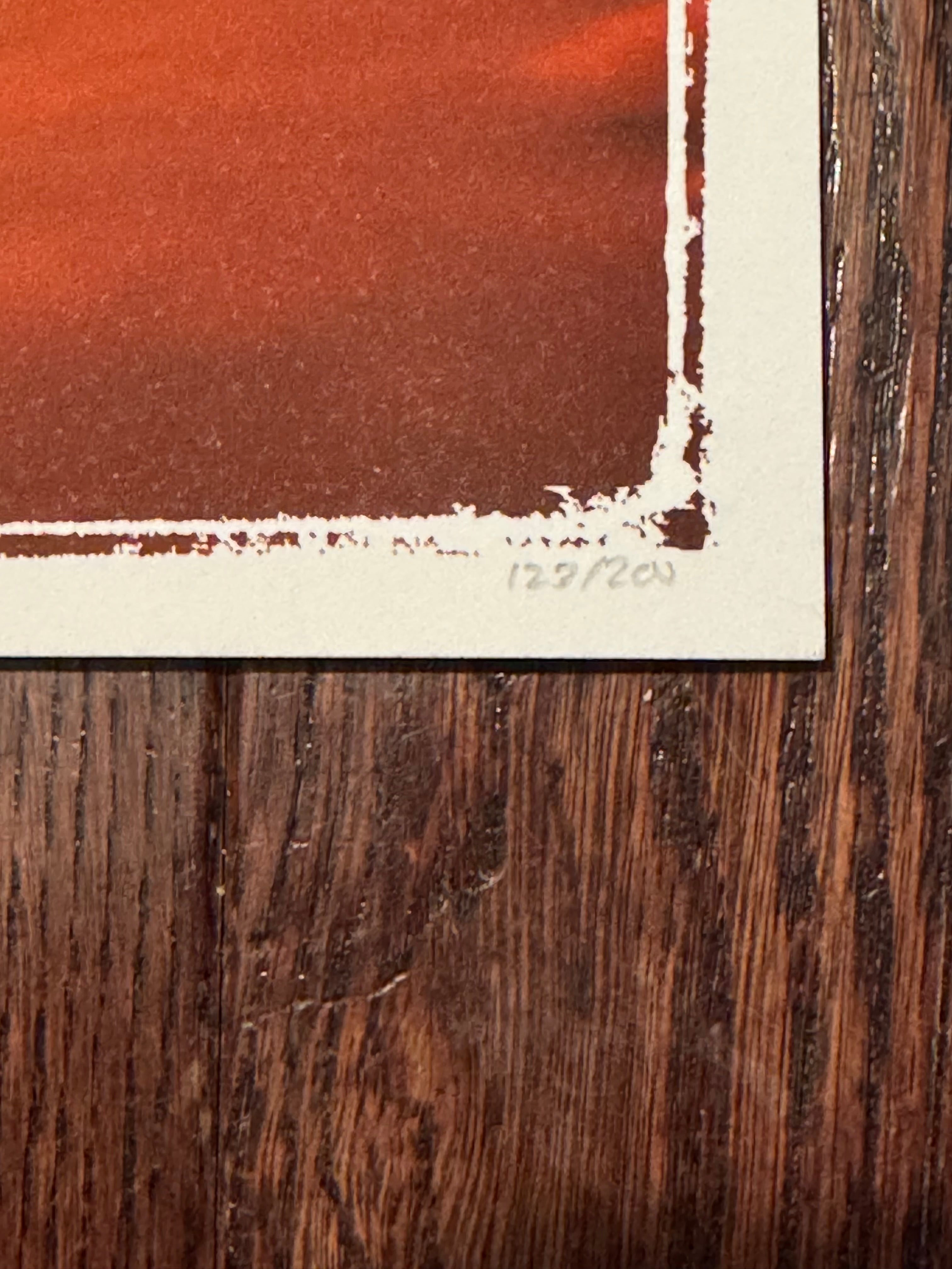 Lion King by Ben Harman – Limited Edition Fine Art Print (123/200)