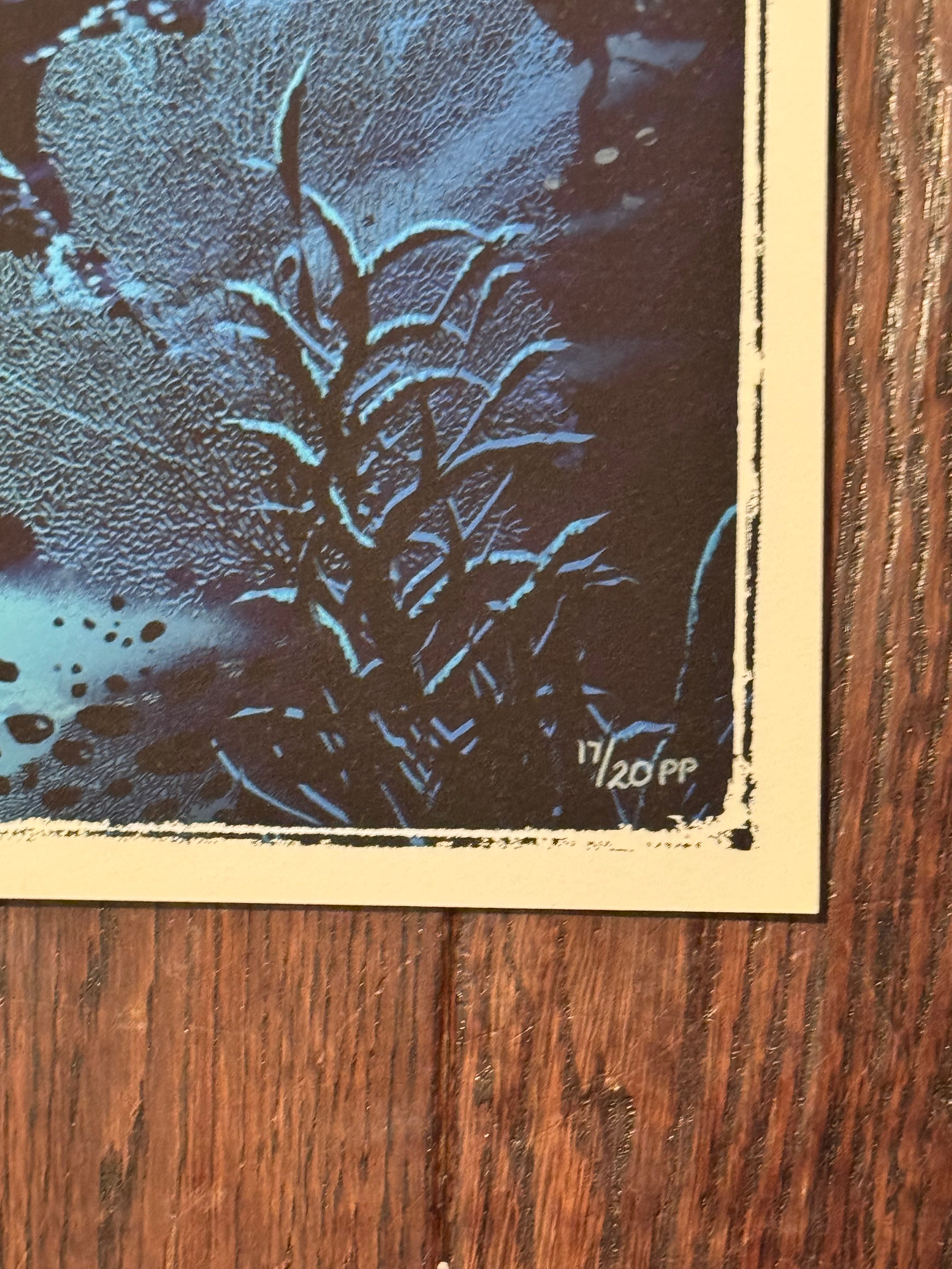 Little Mermaid by Ben Harman – Printer's Proof (PP) (17/20)