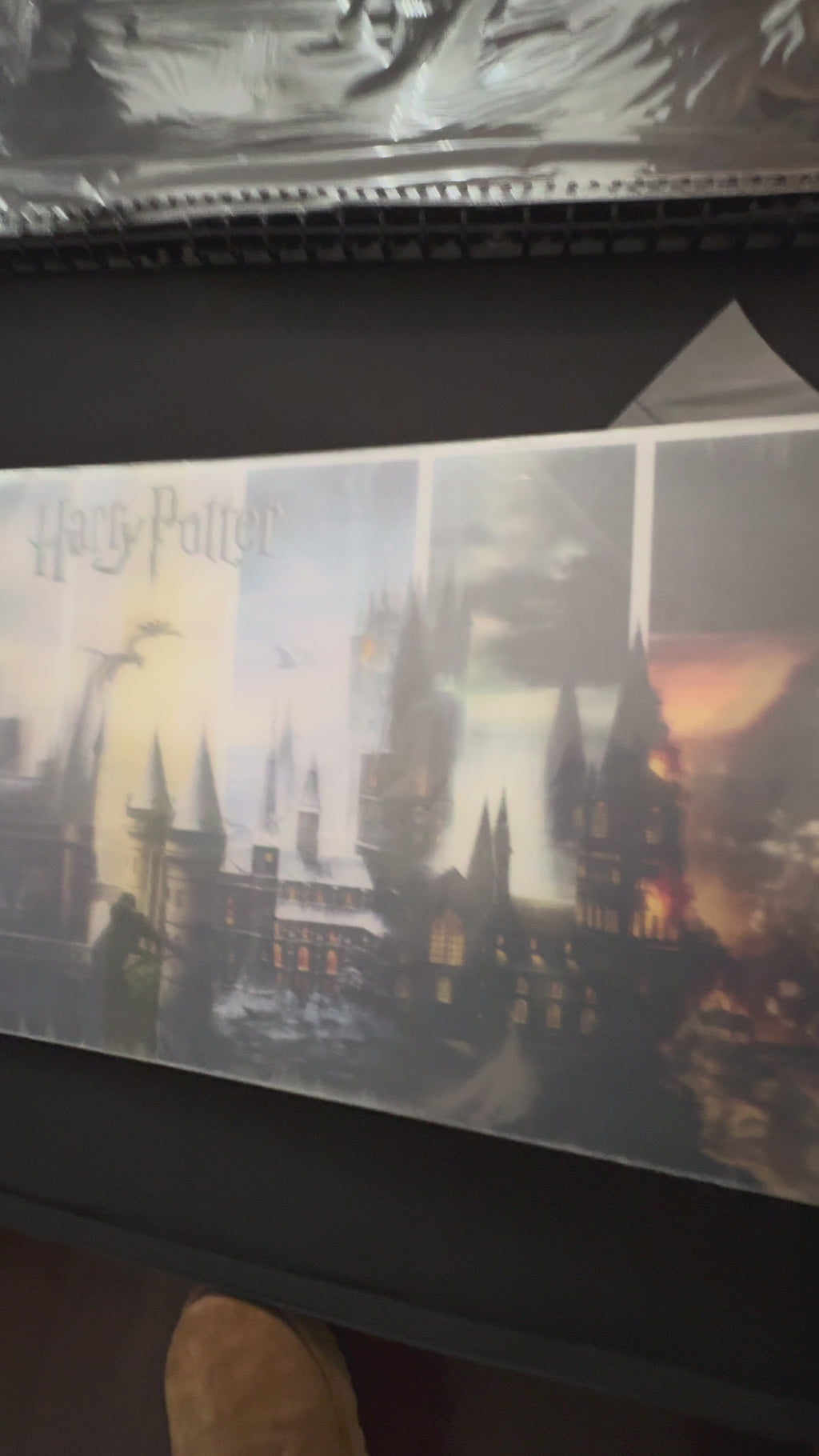 Harry Potter – Lenticular PLEX Hogwarts Piece – AP Edition (19/20)
