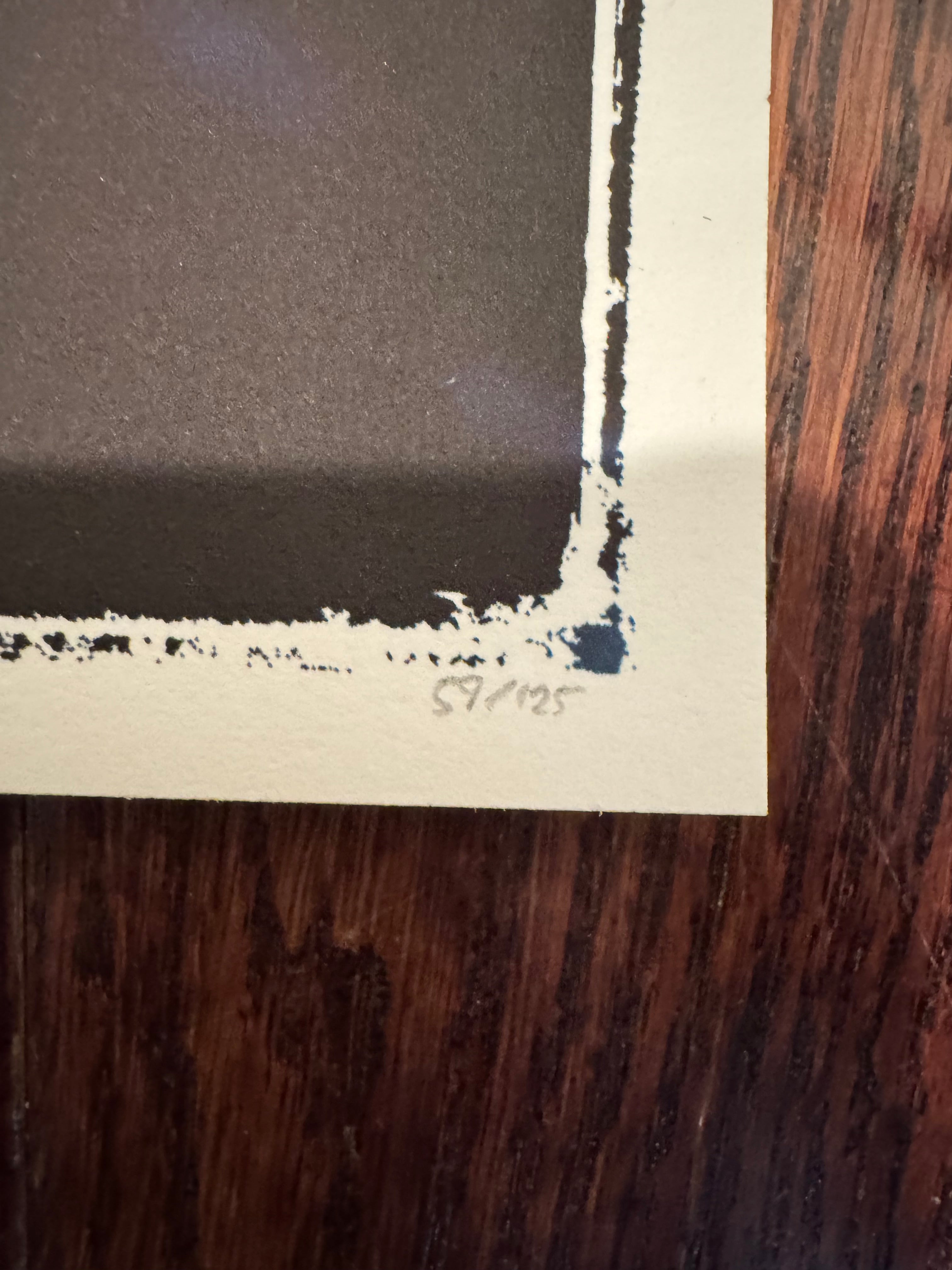 Princess and the Frog by Ben Harman – Edition 125