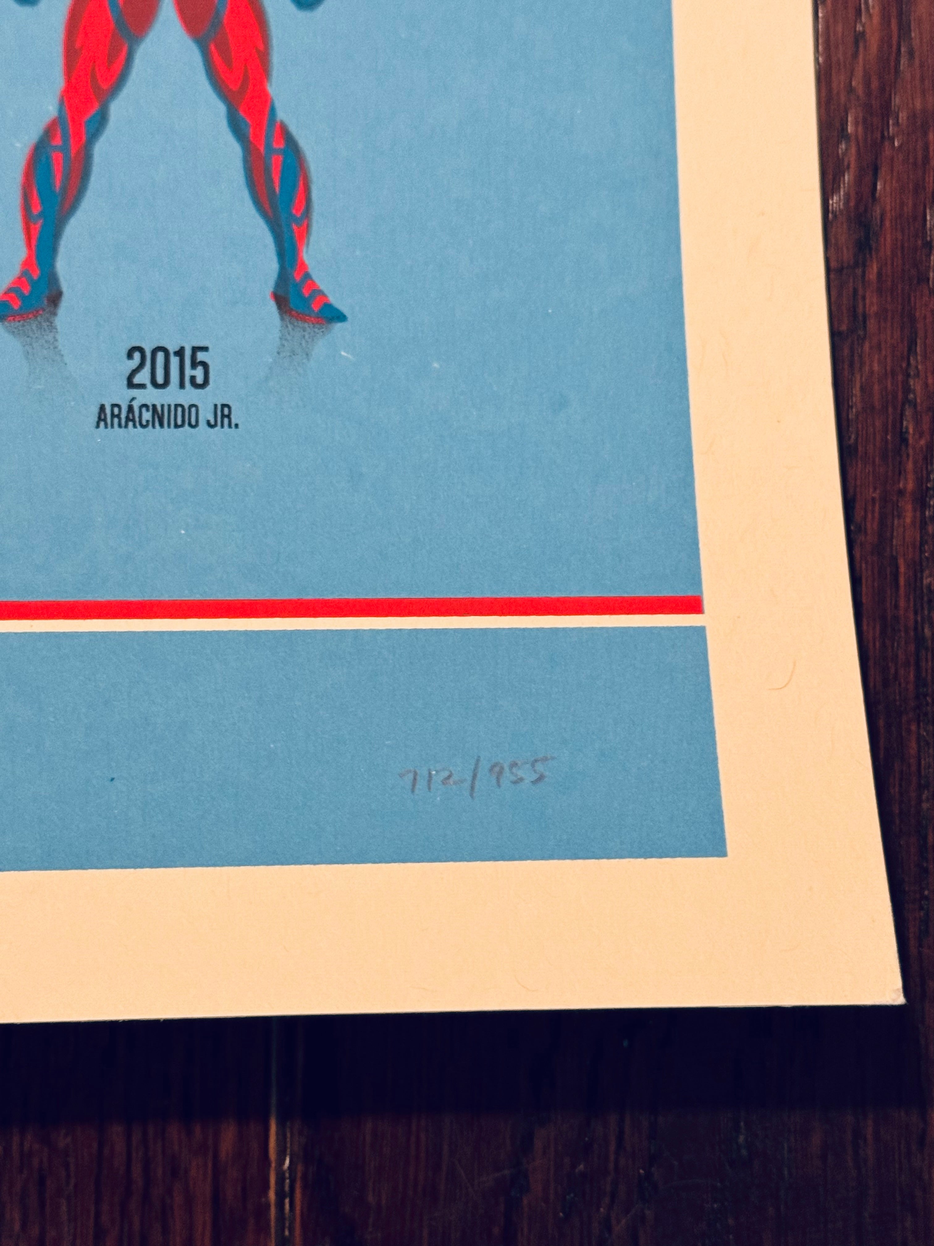 Spider-Verse – Variant by DKNG – Screen Print (712/955)