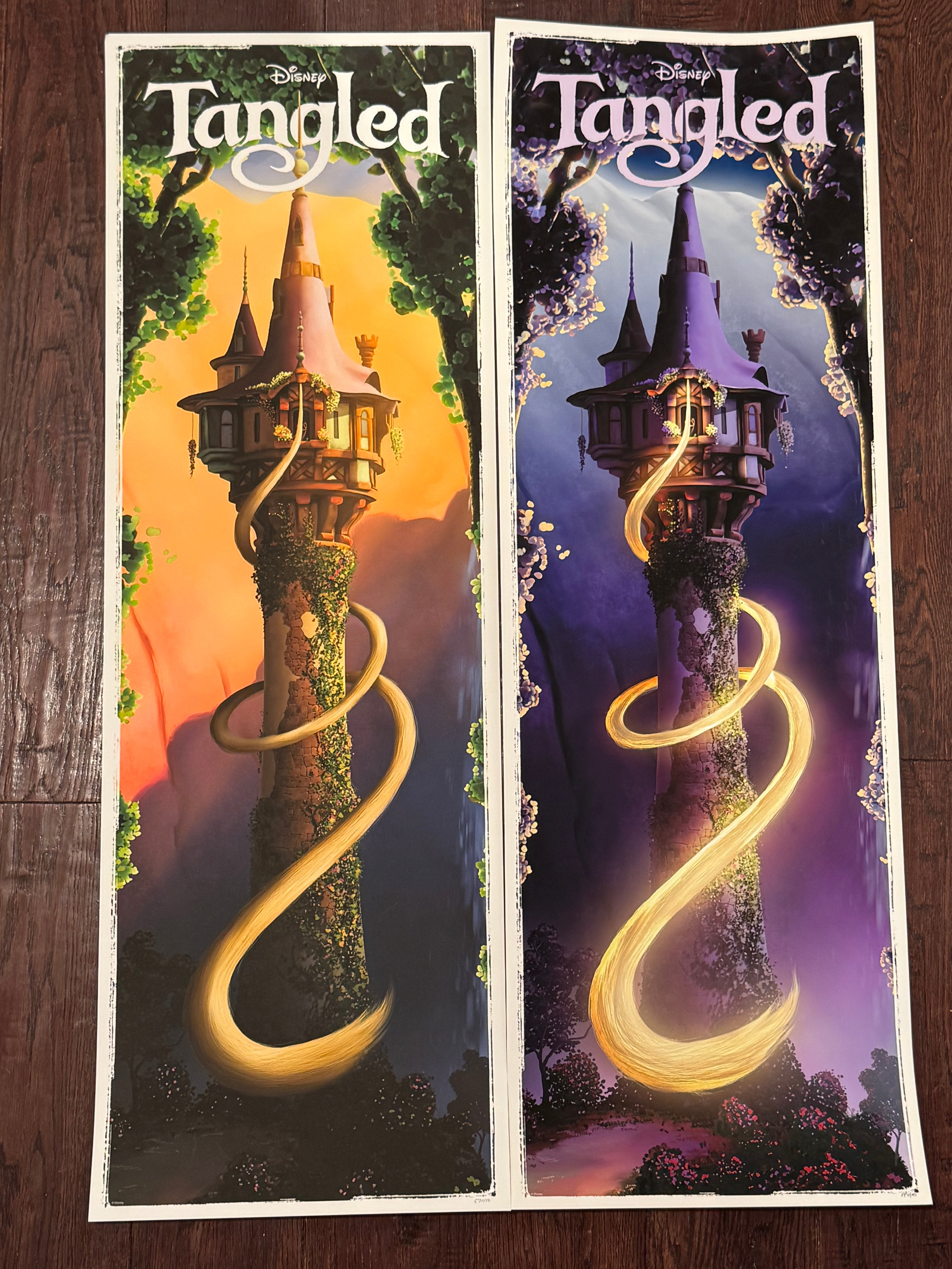 Tangled – Day & Night Set by Ben Harman – 2-Print Fine Art Set